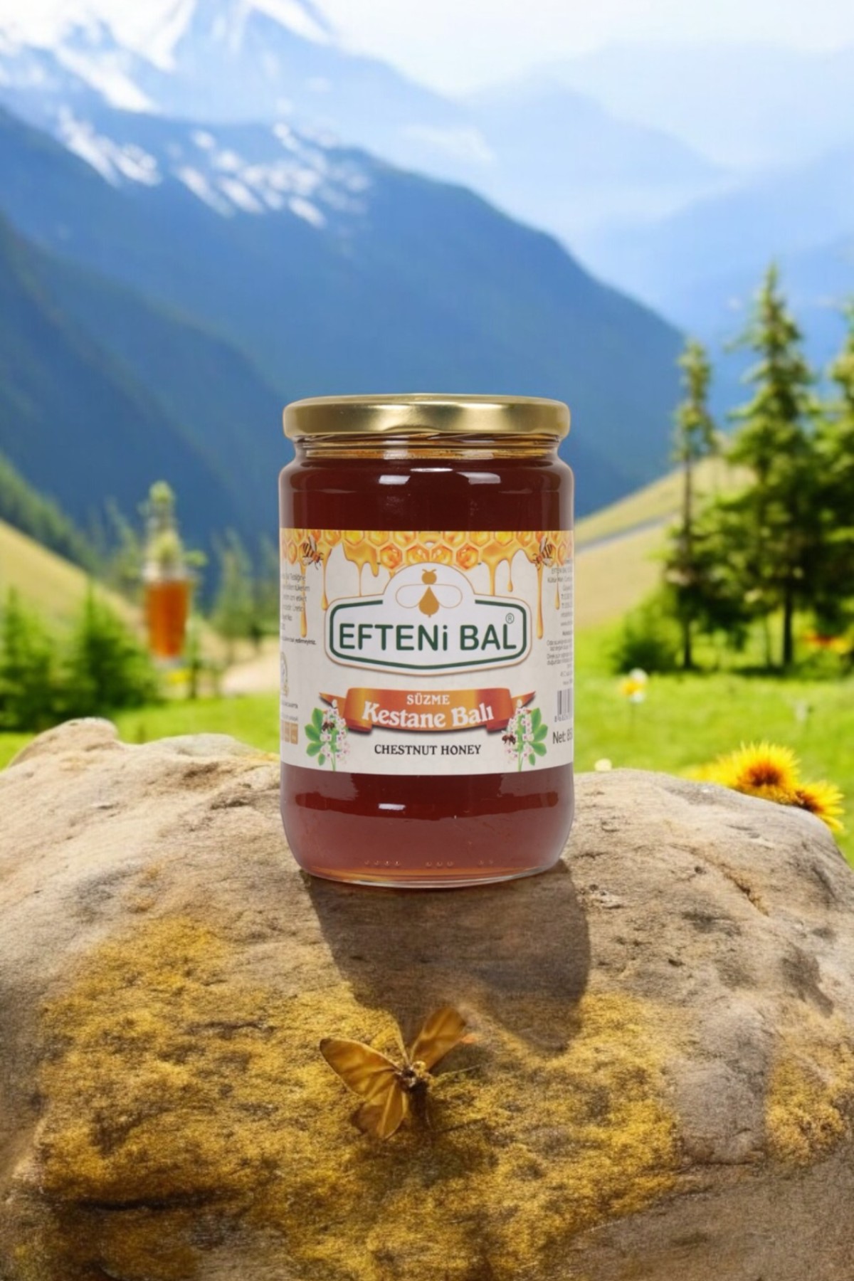 1ed4ab4d-df77-4ccb-974c-fa593c0ba8ad-Photoroom-Photoroom